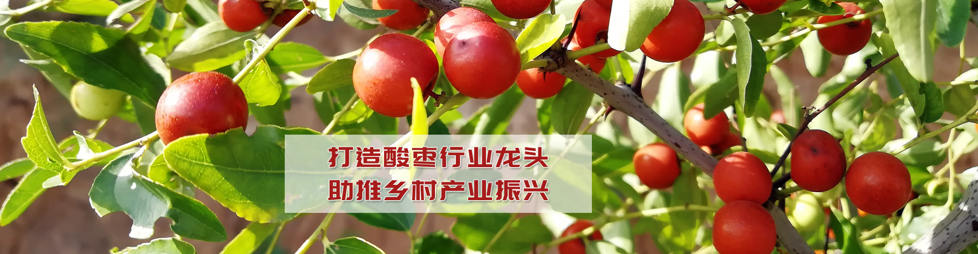 無(wú)錫市飛航電力電子有限公司